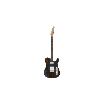 1955 Custom Collection Electric Guitar with Striped Ebony Finish by for