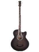 Dragonfly 4 Fretless - Acoustic Bass with Smoke Burst Finish