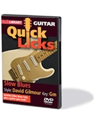 Slow Blues - Quick Licks by David Gilmour for Guitar