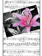 Recital Program #80 - Red & Blue Clefs for