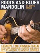 Roots And Blues Mandolin by James Steve for Mandolin M
