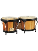 Artist Series Jamjuree Bongos by for
