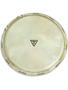 Replacement Goatskin Djembe Head by for