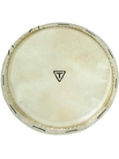 Traditional Series Replacement Djembe Head by for