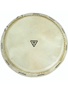 Traditional Series Replacement Djembe Head by for