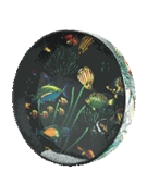 Ocean Drum with Fish Graphic - 16 inch. Diameter; 2-1/2 inch. Deep Drum Head by for