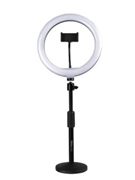10-inch Led Desktop Ring Light Stand With Phone Holder And Compact Weighted Base