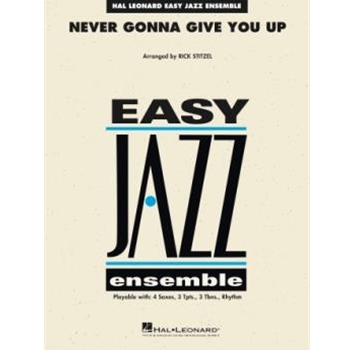 Never Gonna Give You Up