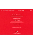 Adagio From 3rd Symphony by Saint-Saens Camille - Tulan F - for Organ Solo