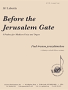 Before The Jerusalem Gate/pred Branou by for