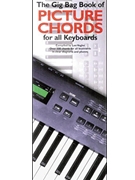 Gig Bag Book Of Keyboard Picture Chords for Piano