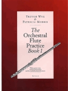 The Orchestral Flute Practice by for
