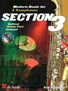 Section 3 by Veldkamp Erik for