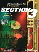 Section 3 by Veldkamp Erik for