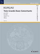 3 Grands Duos Concertants Op. 87 by Kuhlau Friedrich - Delius Nikolaus - for Flute Duet