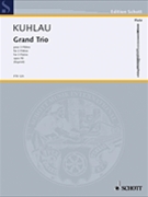 Grand Trio Op. 90 by Kuhlau Friedrich - Nikolaus Delius - for Flute
