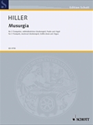 Musurgia by Hiller Wilfried for