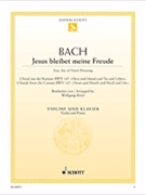 Jesu Joy Of Man's Desiring by Bach Johann Sebastian - Birtel Wolfgang - for Violin and Piano