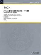 Jesu Joy Of Man's Desiring by Bach Johann Sebastian - Birtel Wolfgang - for Piano Trio