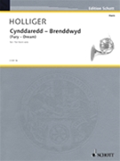 Cynddaredd - Brenddwyd (Fury - Dream) by Holliger Heinz for
