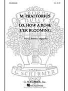 Lo How A Rose E'er Blooming by Praetorius Michael - Shand D - for SSA a cappella