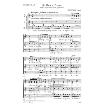 Szeles A Duna - STB/ATB A cappella Hungarian