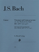 Trio Sonata and Canon Perpetuus from the Musical Offering BWV 1079 by Bach Johann Sebastian for