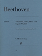 Flute Trio Woo37 by Beethoven Ludwig van for Woodwind Duet