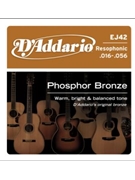 D'Addario EJ42 Resophonic Guitar Strings 16-56 by for