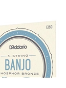 D'Addario EJ69 5-String Banjo Strings Phosphor Bronze Light 9-20 by for