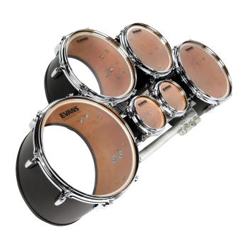 EVANS TCX Clear Tenor, Pro Pack