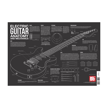 Poster--electric Guitar Anatomy for
