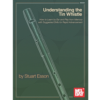 Understanding the Tin Whistle