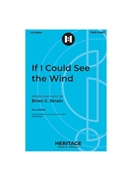 If I Could See the Wind