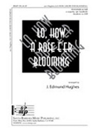 Lo How A Rose E're Blooming by - Hughes J Edmund - for SSAA