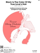 Black Is The Color Of My True Love's Hair by traditional American - Masters Andy - for String Orchestra