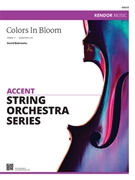Colors In Bloom