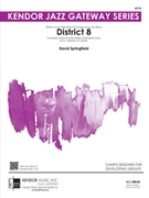 District 8