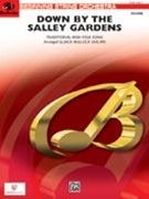 Down by the Salley Gardens by Traditional Irish - Bullock Jack - for Conductor