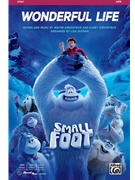 Wonderful Life by Kirkpatrick Wayne and Karey - DeSpain Lisa - Small Foot for SATB and Piano