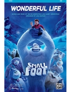 Wonderful Life by Kirkpatrick Wayne and Karey - DeSpain Lisa - Small Foot for SAB and Piano