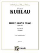 3 Grand Trios Opus 86 #2 by Kuhlau Friedrich for Flute Trio (#2 (d Major))