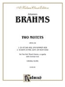 2 Motets by Brahms Johannes for SATBb Sac