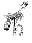 Greeting Cards: Trumpet (Pack of 8) by for Trumpet