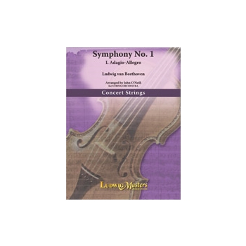 Symphony No. 1: Mvt. 1 for String Orchestra [String Orchestra]