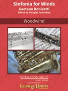 Sinfonia for Winds in G minor, A 509 (Sinfonia fur Blaser) [Woodwind Duo & Ensemble, Nonet]