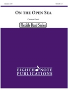 On the Open Sea by Gassi Carmen for Flex Band