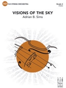 Visions of the Sky