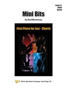 Mini Bits