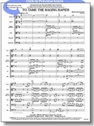 To Tame The Raging Rapids by Balmages Brian for String Orchestra